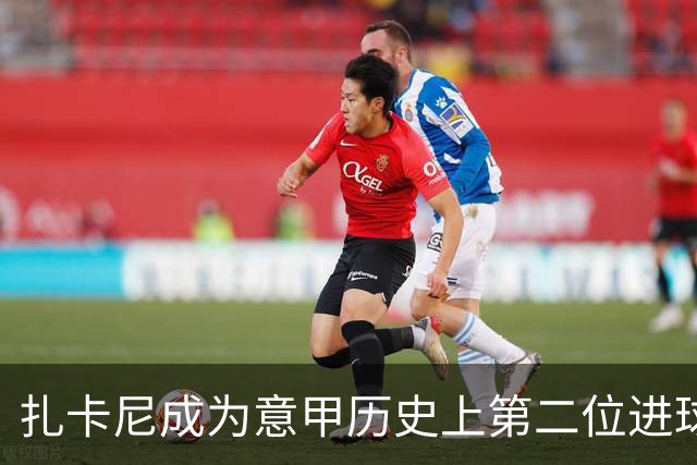 扎卡尼成为意甲历史上第二位进球40+助攻30+的本土球员